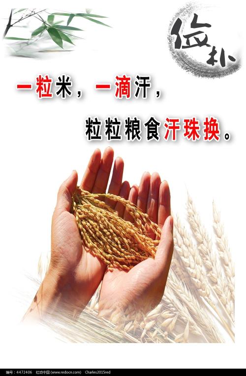 仿制假塔拉纳基理工学院毕业证